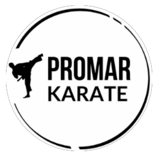 MAT Action Promar Karate