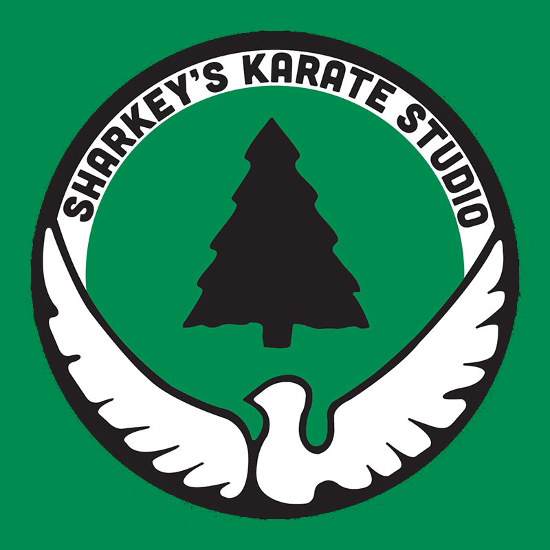MAT Action Sharkey's Karate