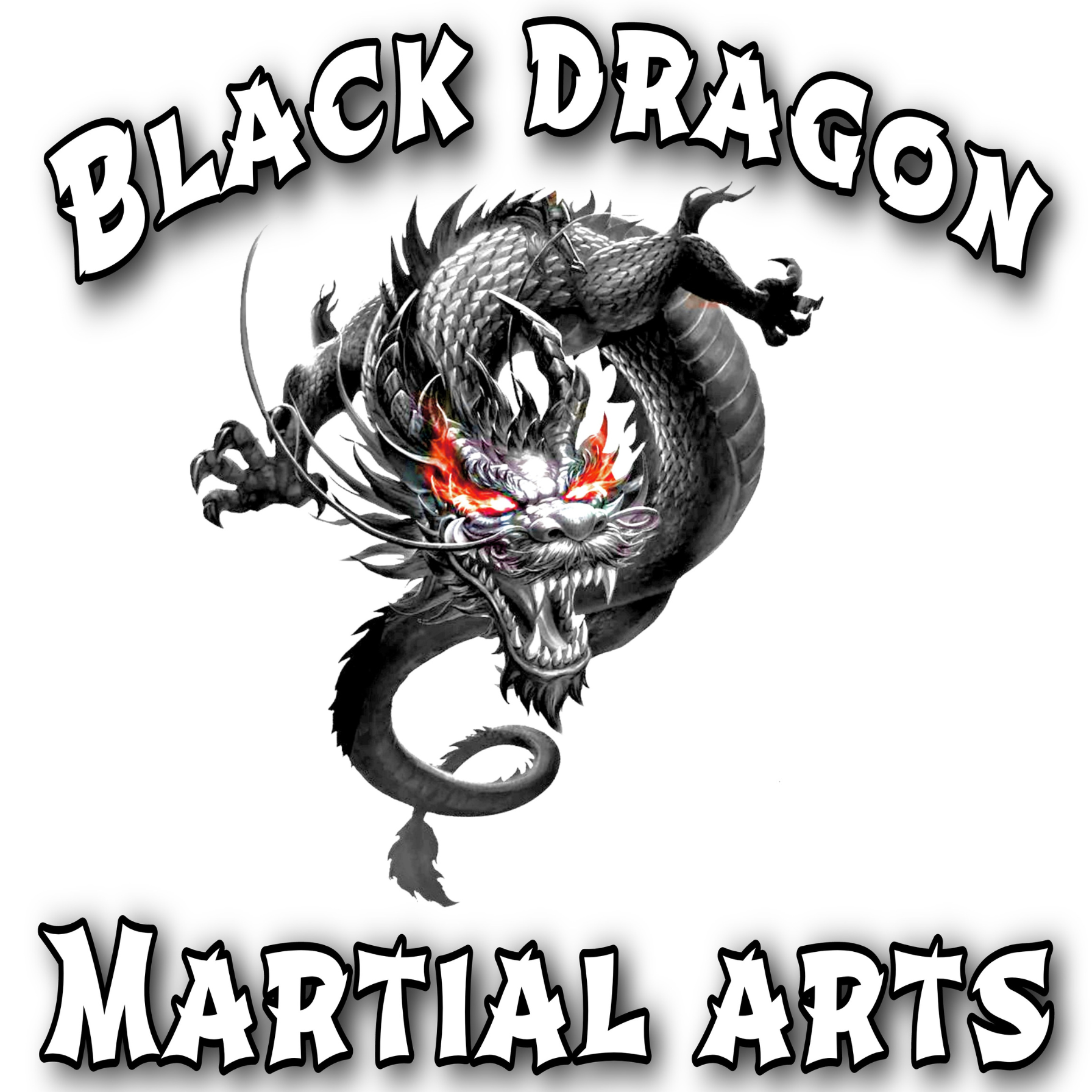 Black dragon karate best sale