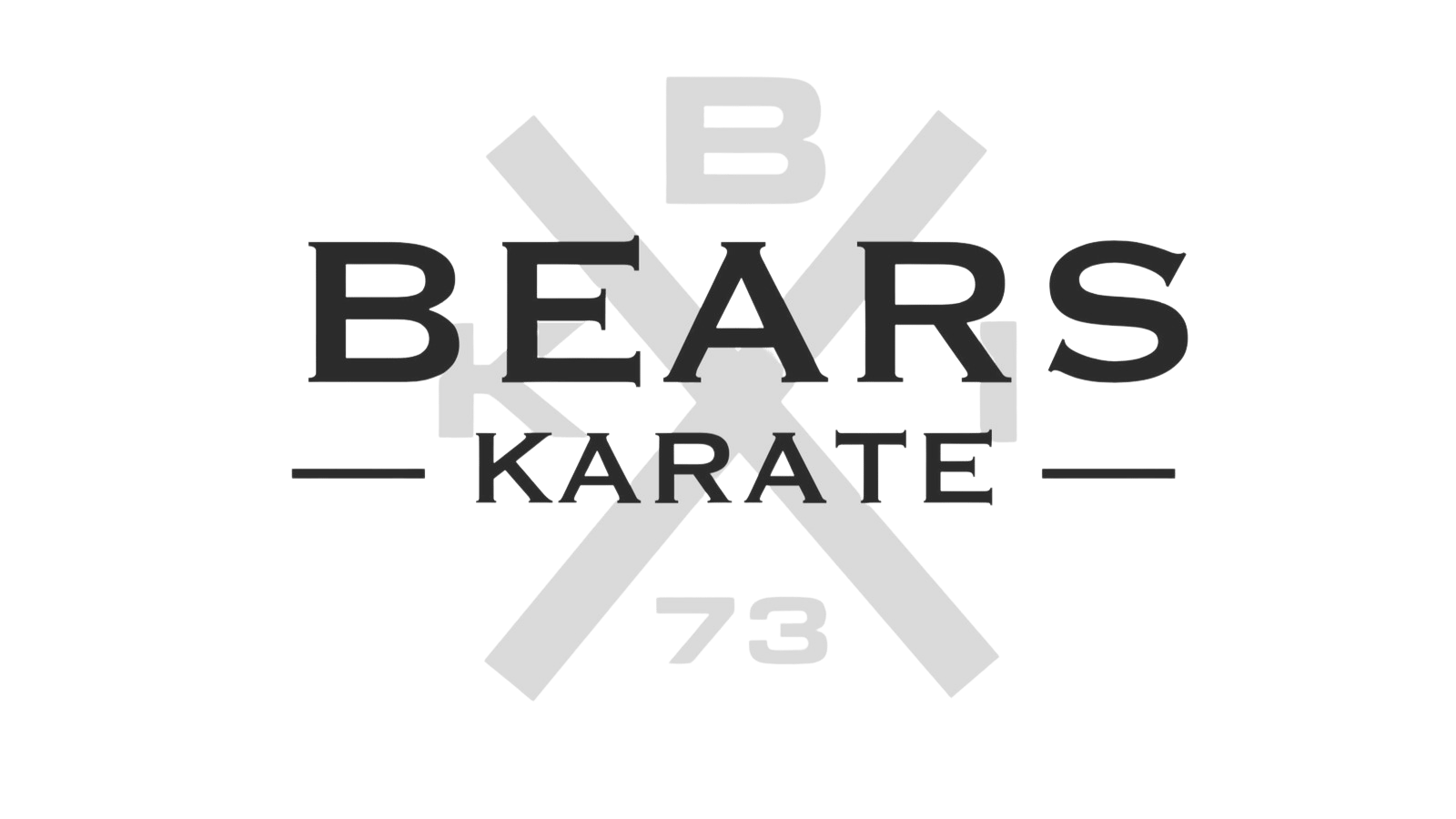 MAT Action Bears Karate International